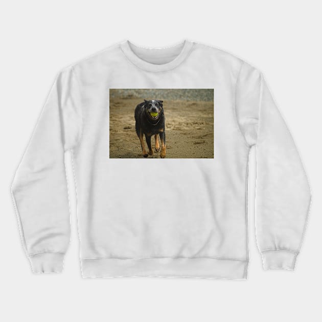 flb ball time Crewneck Sweatshirt by pcfyi